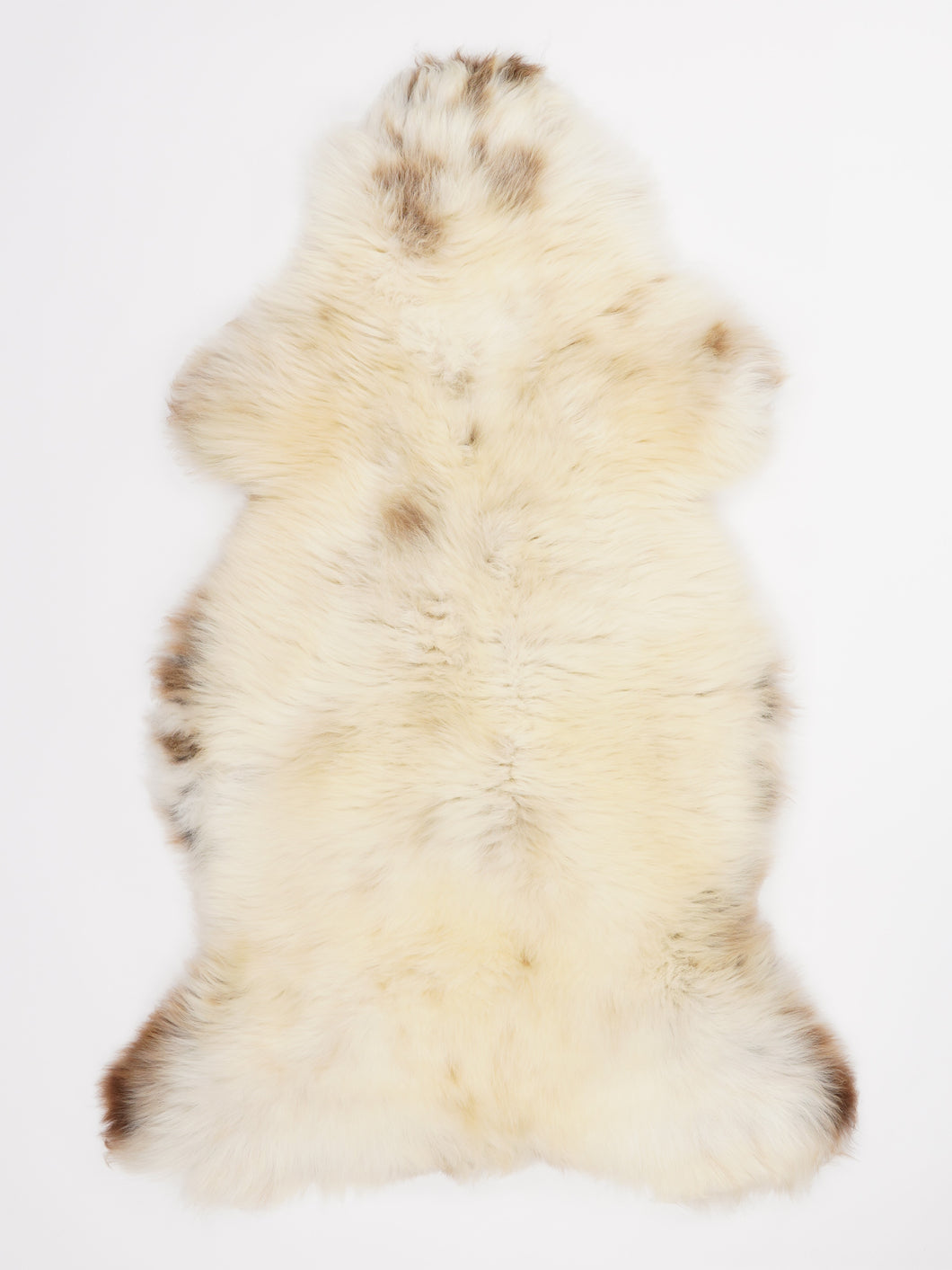 Įvairiaspalvis avikailis XL