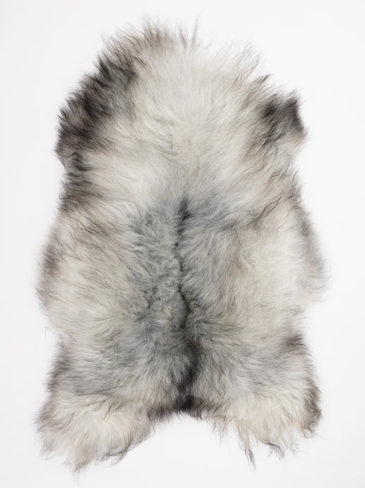 Pilkas islandiškas avikailis XL