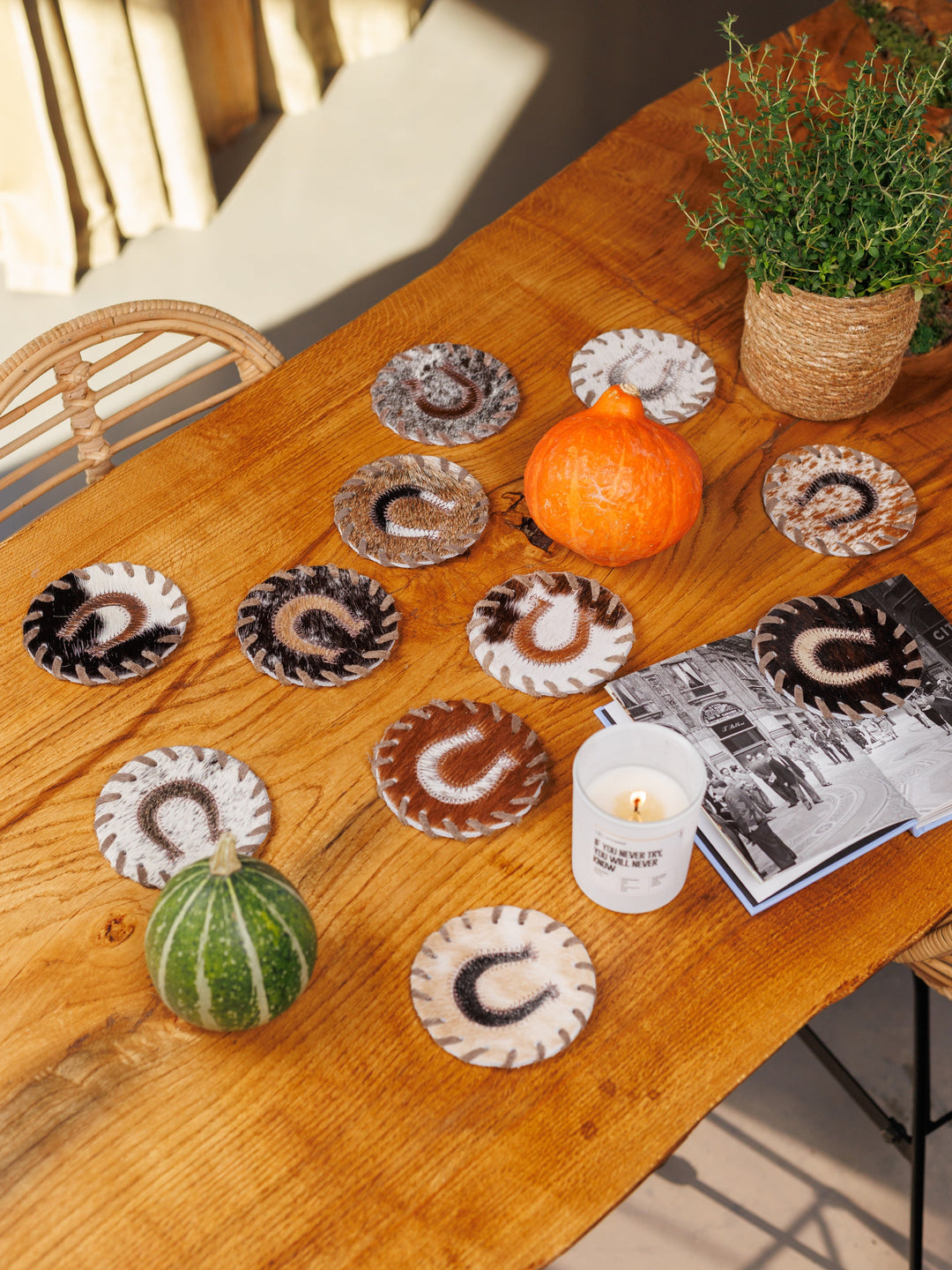 Cowhide Coaster Set