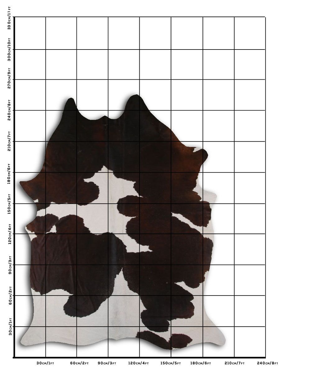 Hnědá hovězí kůže XXL