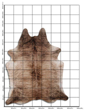 Načíst obrázek do prohlížeče Galerie, Exotická hovězí kůže XXXL
