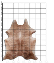 Načíst obrázek do prohlížeče Galerie, Exotická hovězí kůže XXL

