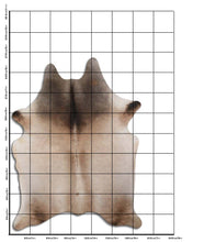 Načíst obrázek do prohlížeče Galerie, Šampaňská hovězí kůže XXXL
