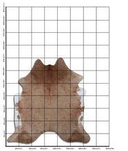 Įkelti vaizdą į galerijos rodinį, Rudas karvės kailis L

