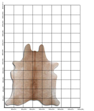Įkelti vaizdą į galerijos rodinį, Rudas karvės kailis L
