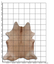Načíst obrázek do prohlížeče Galerie, Hnědá hovězí kůže XL
