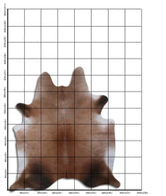 Įkelti vaizdą į galerijos rodinį, Rudas karvės kailis XL
