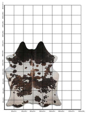 Načíst obrázek do prohlížeče Galerie, Tříbarevná hovězí kůže XL
