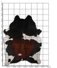 Įkelti vaizdą į galerijos rodinį, Trispalvis karvės kailis XXXL
