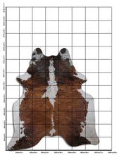 Načíst obrázek do prohlížeče Galerie, Exotická hovězí kůže XXL
