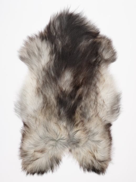 Pilkas islandiškas avikailis XXL