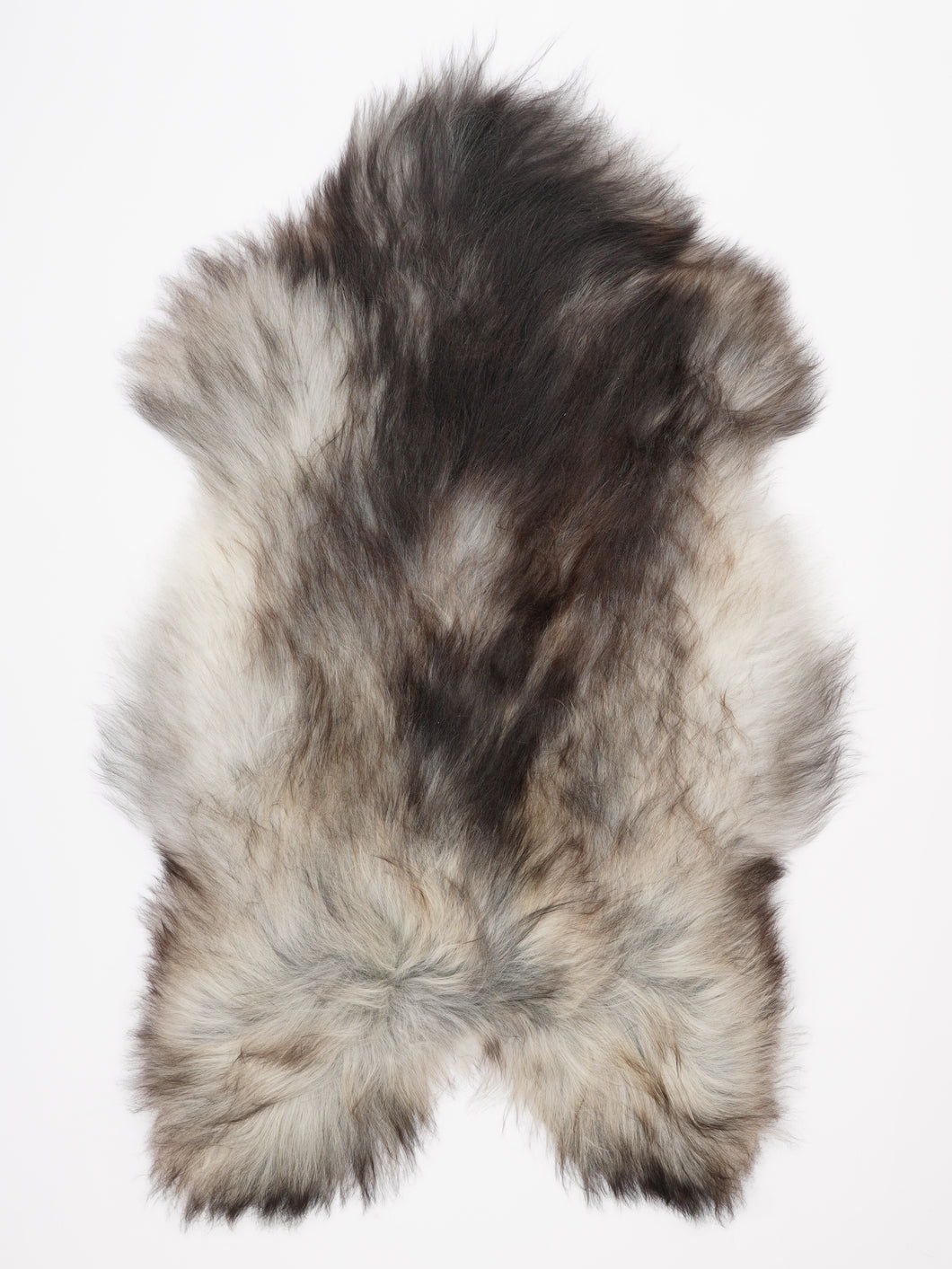 Pilkas islandiškas avikailis XXL