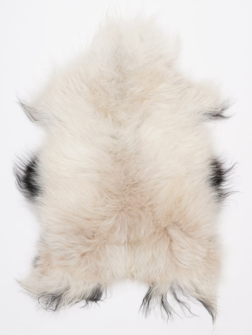 Islandiškas avikailis M