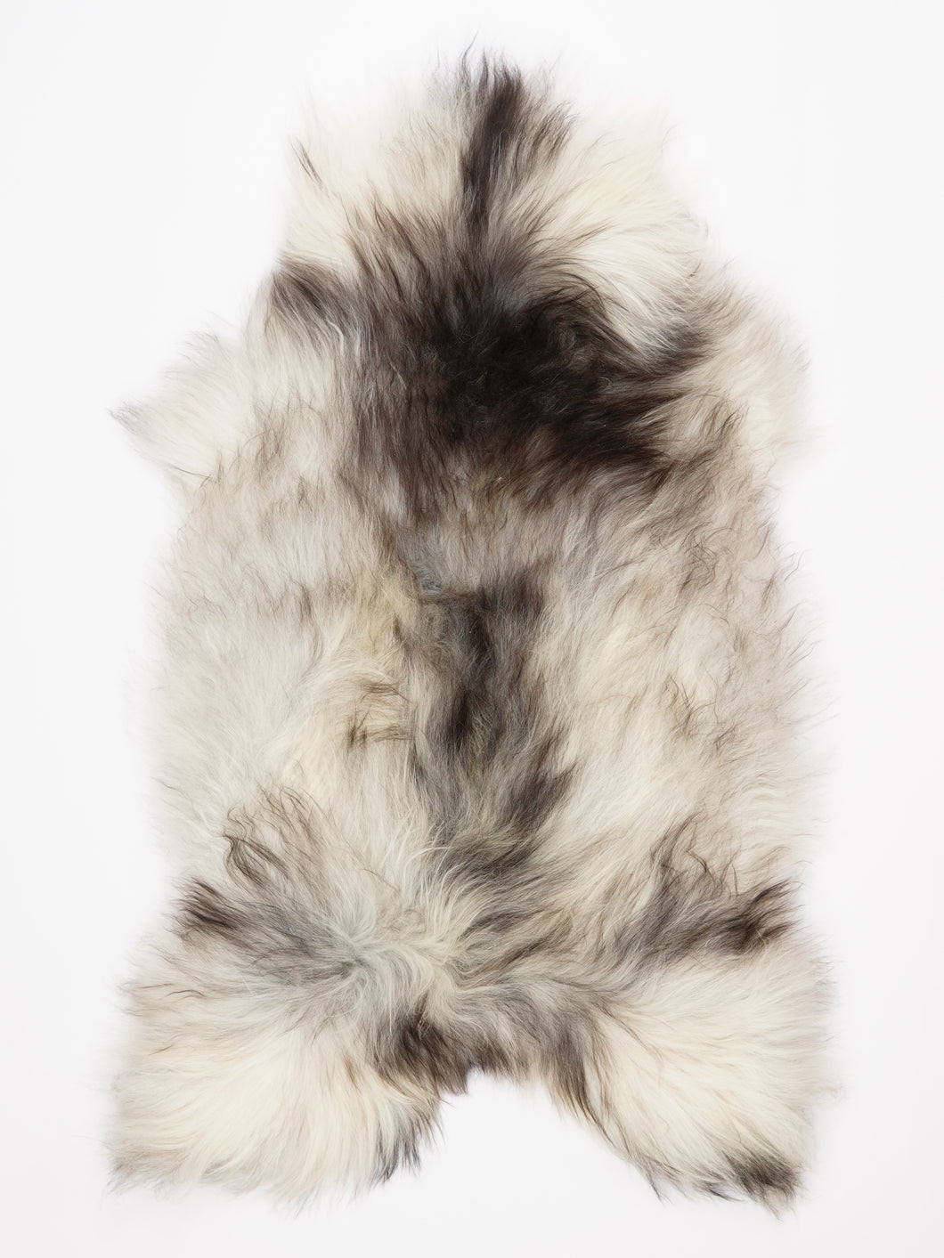 Islandiškas avikailis XXL