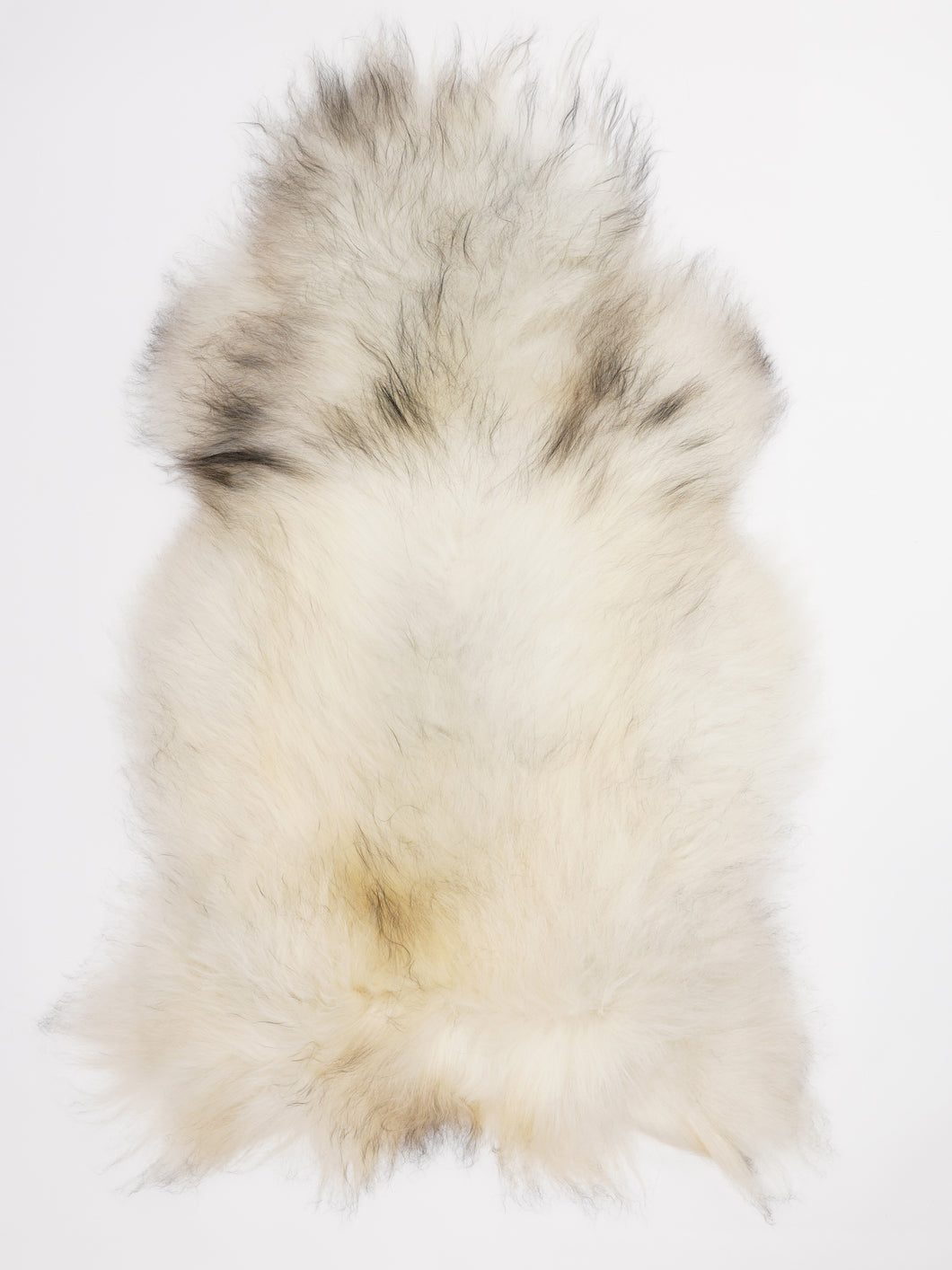 Islandiškas avikailis XL