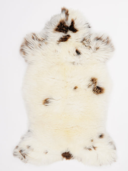 Įvairiaspalvis avikailis L