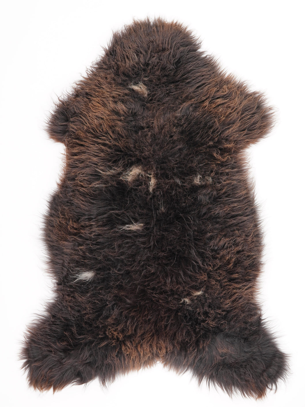 Įvairiaspalvis avikailis XL