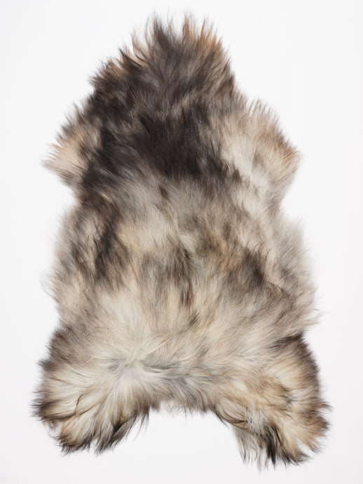 Pilkas islandiškas avikailis XXXL