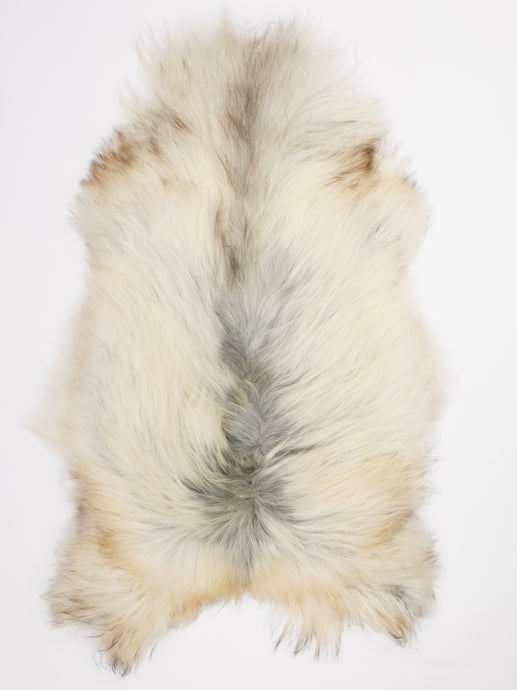 Pilkas islandiškas avikailis XL