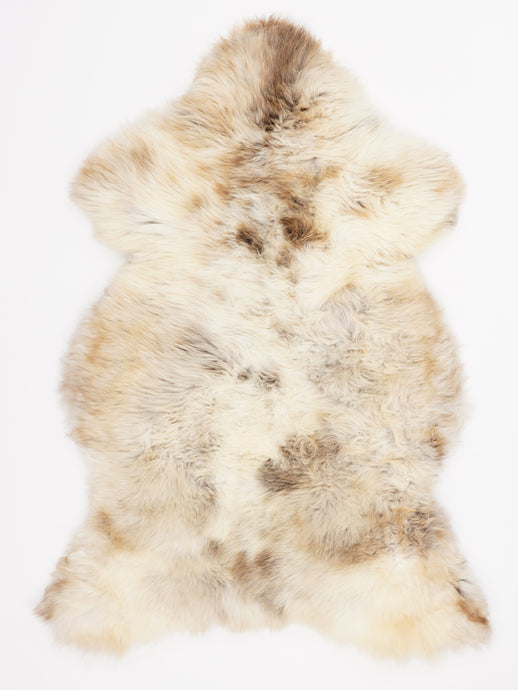 Įvairiaspalvis avikailis L