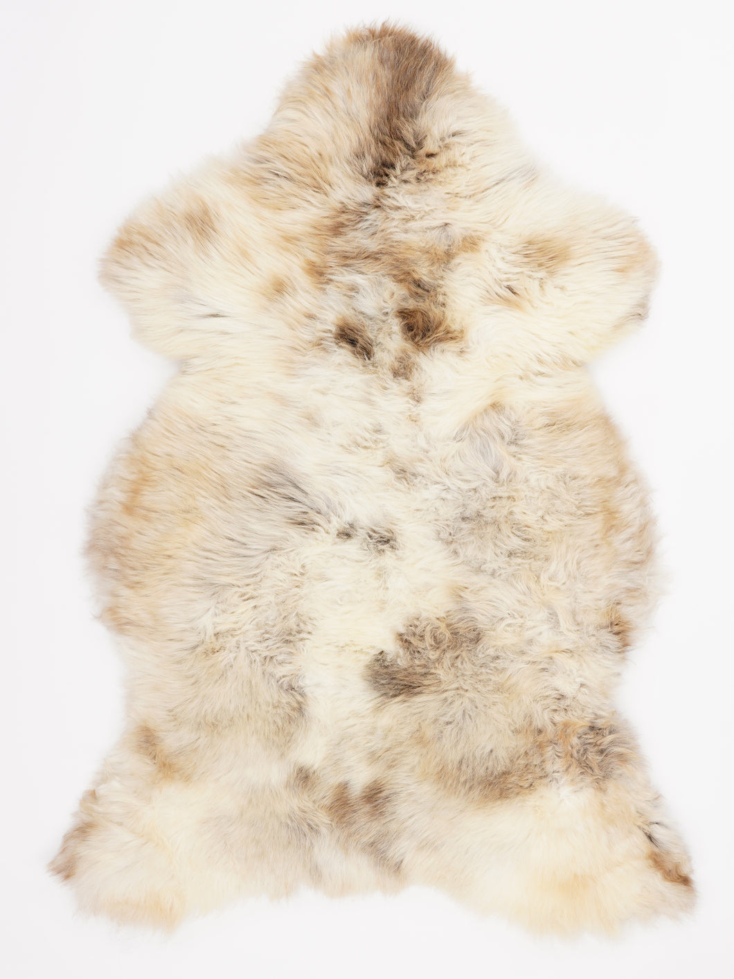 Įvairiaspalvis avikailis L