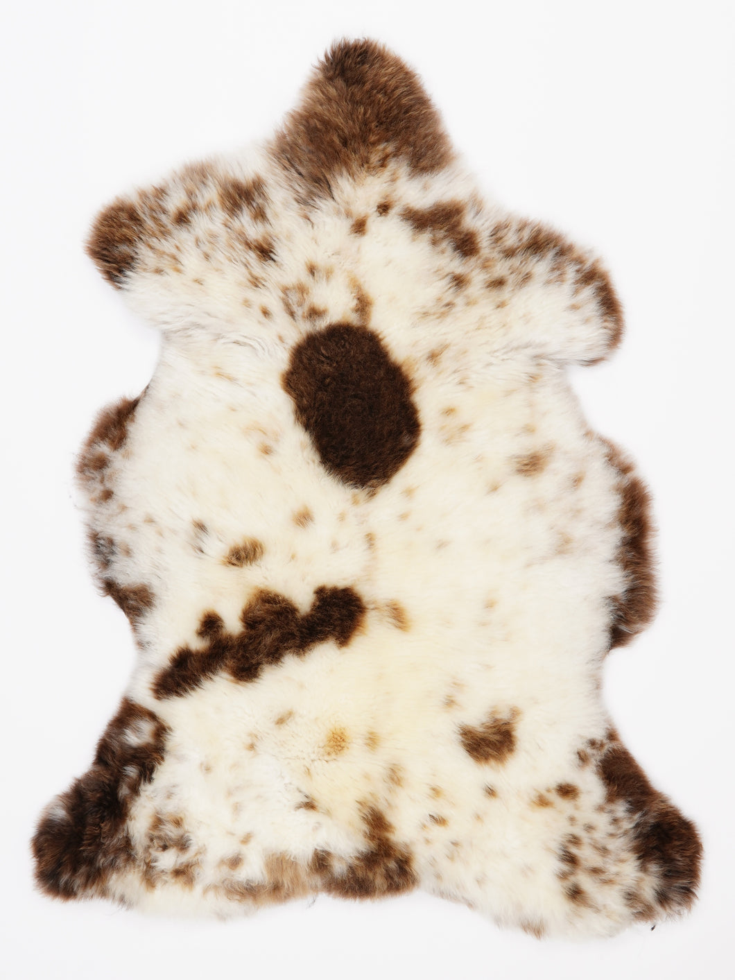 Įvairiaspalvis avikailis L