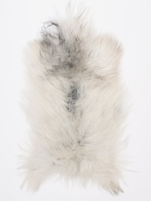 Islandiškas avikailis M