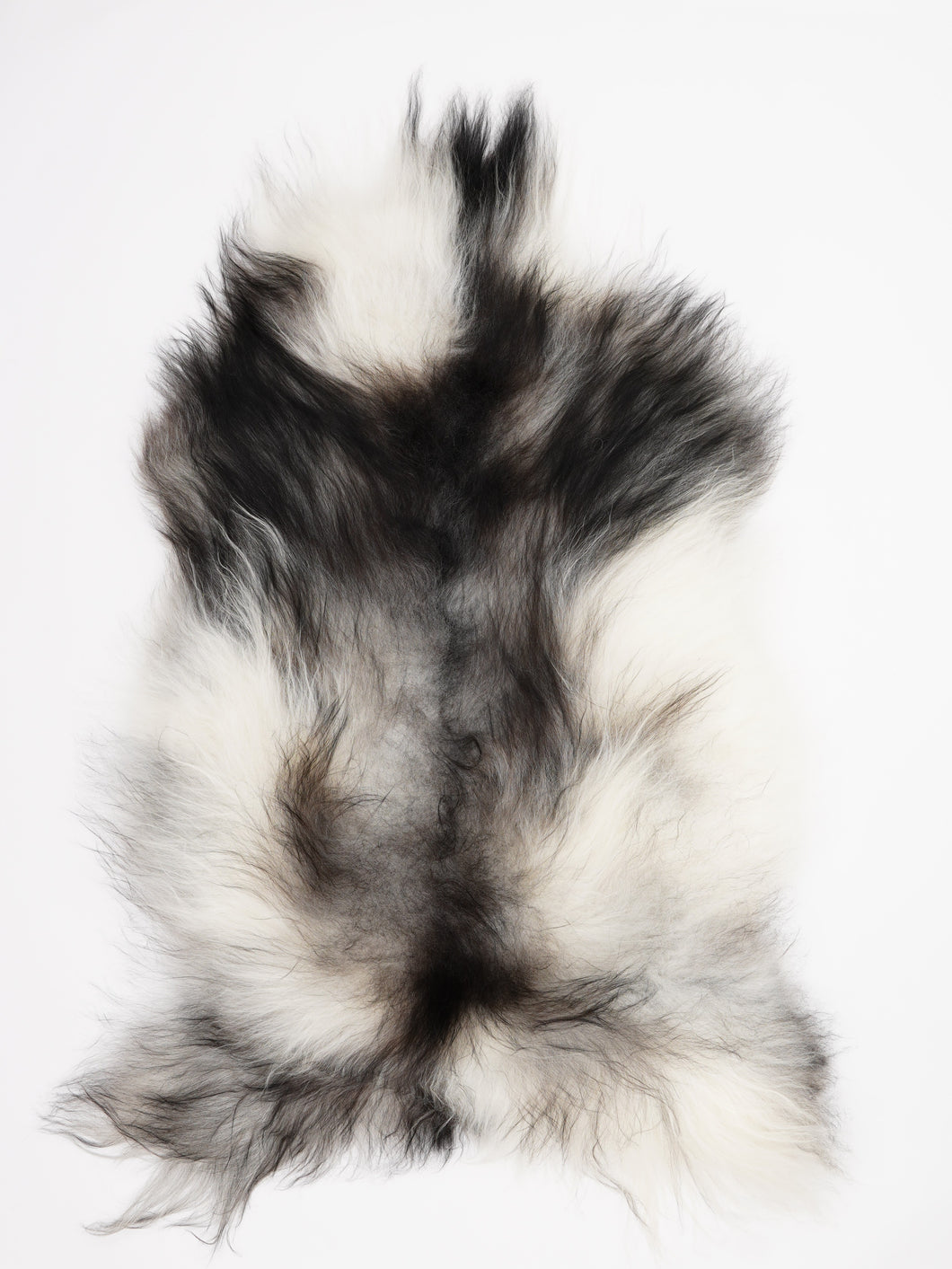 Islandiškas avikailis XL