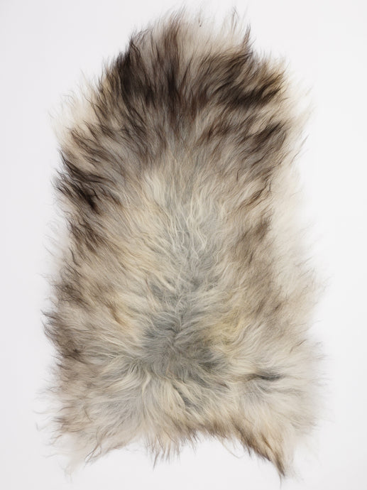 Pilkas islandiškas avikailis XL