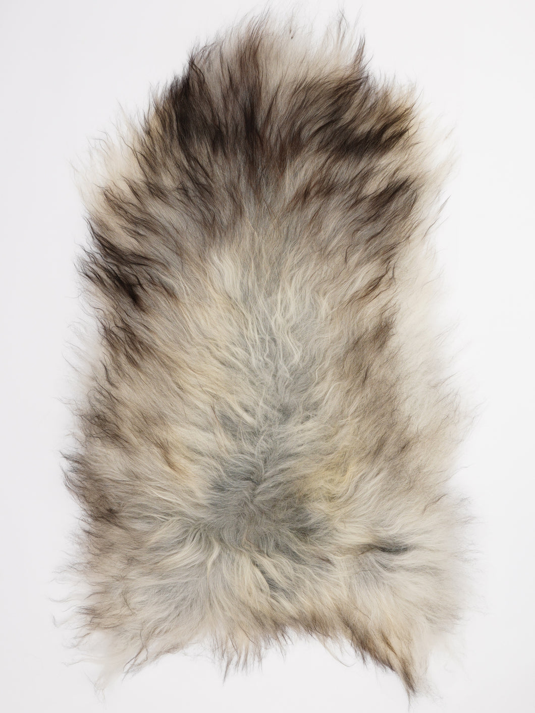 Pilkas islandiškas avikailis XL