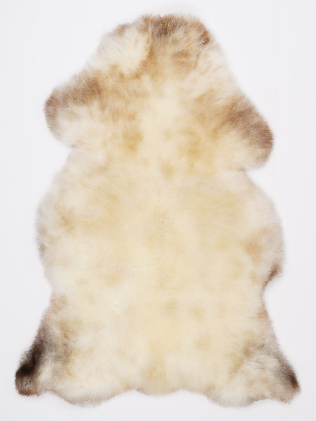 Įvairiaspalvis avikailis L