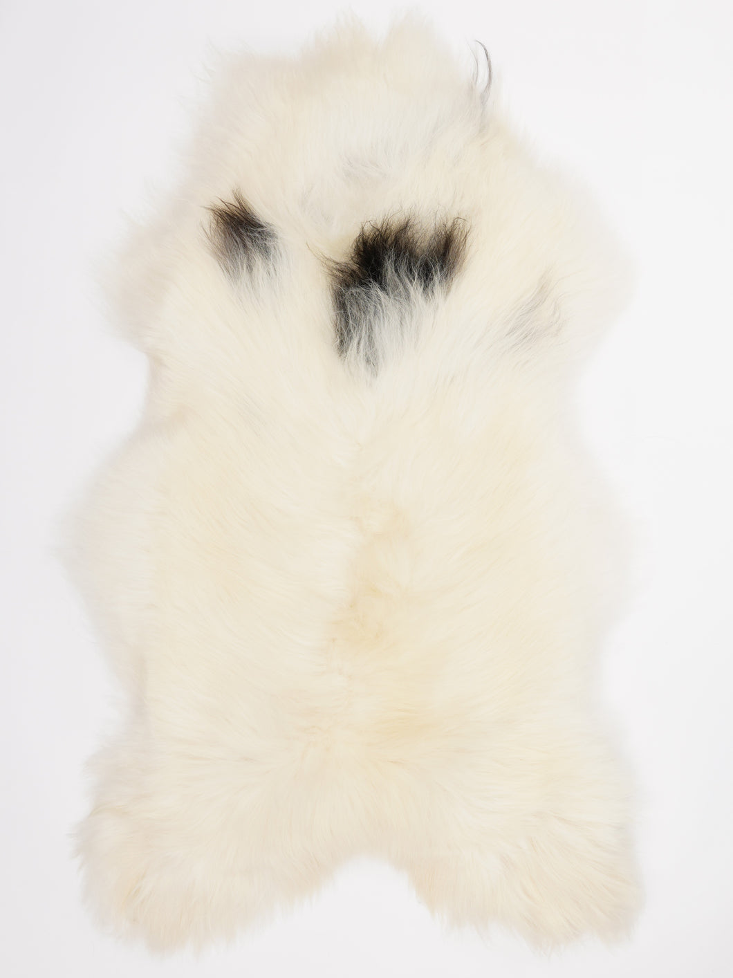 Islandiškas avikailis XXL