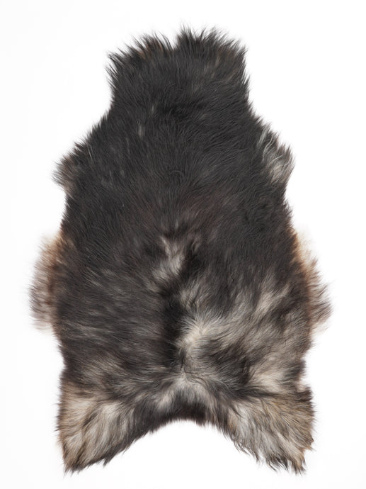 Pilkas islandiškas avikailis XL