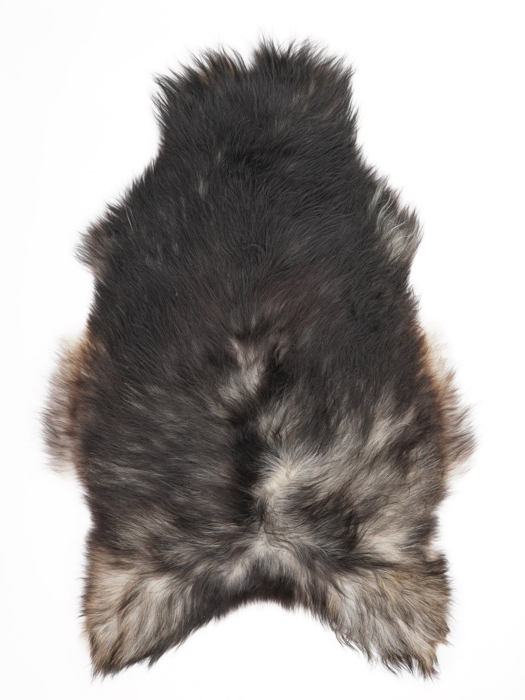 Pilkas islandiškas avikailis XL