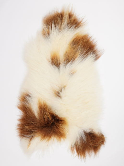 Islandiškas avikailis XL