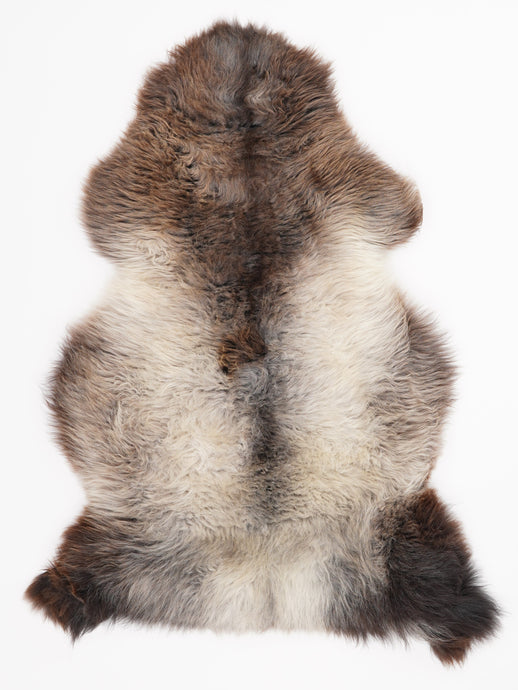 Įvairiaspalvis avikailis L