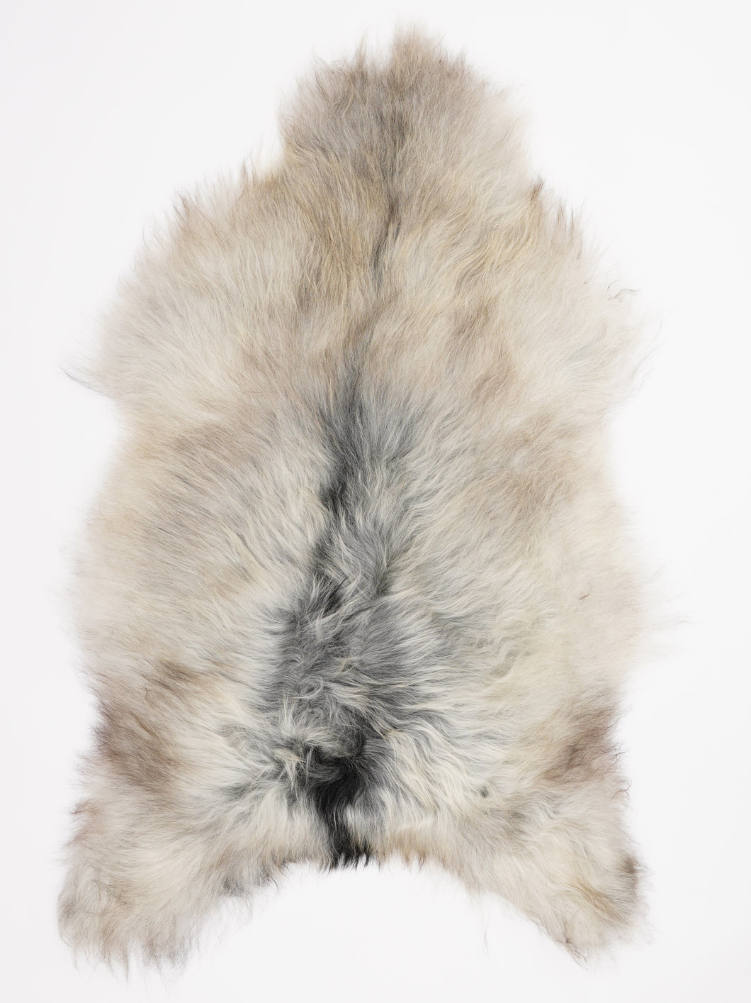 Pilkas islandiškas avikailis XL