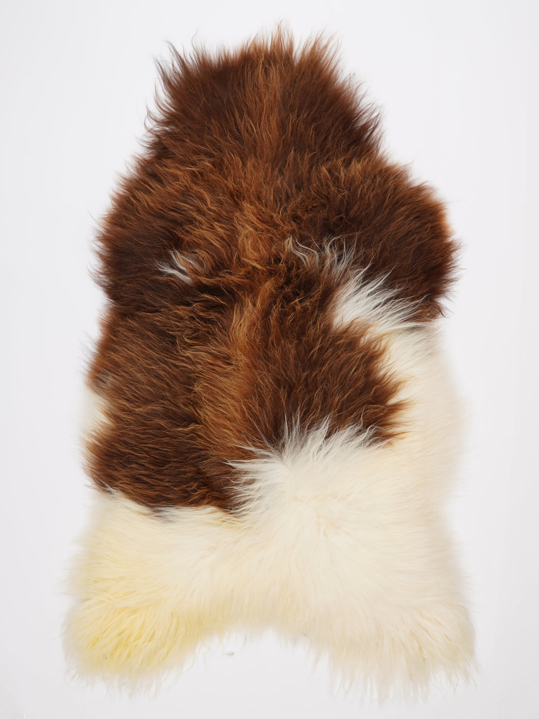 Islandiškas avikailis XXXL