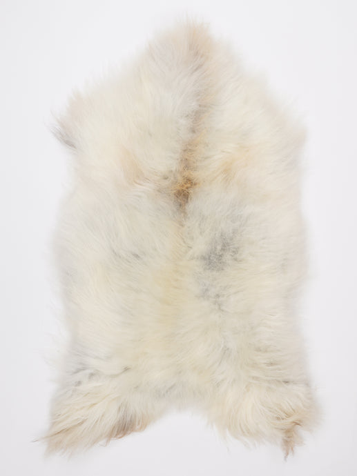 Islandiškas avikailis XL