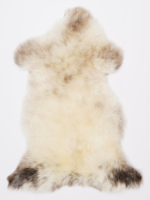 Įvairiaspalvis avikailis L