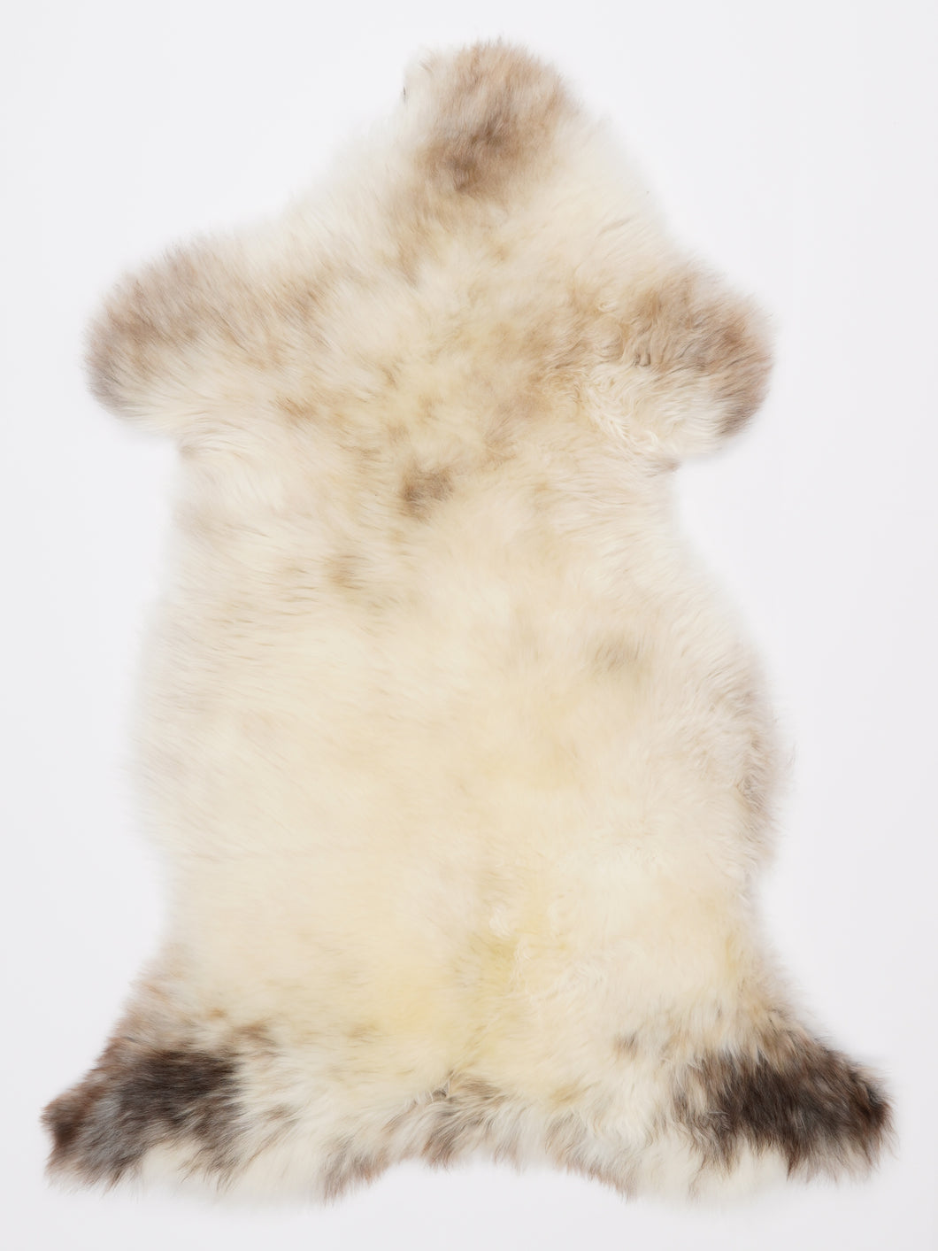 Įvairiaspalvis avikailis L