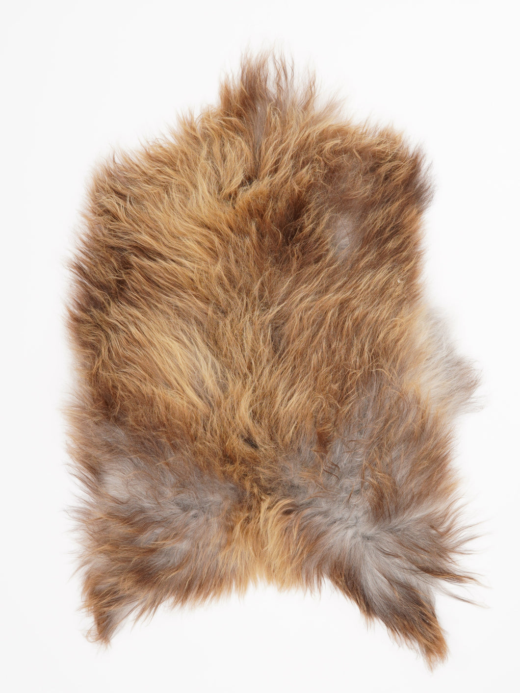 Islandiškas avikailis M