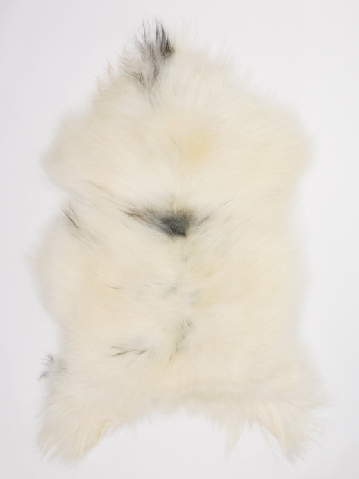 Islandiškas avikailis XL