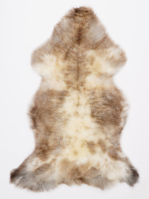 Įvairiaspalvis avikailis L