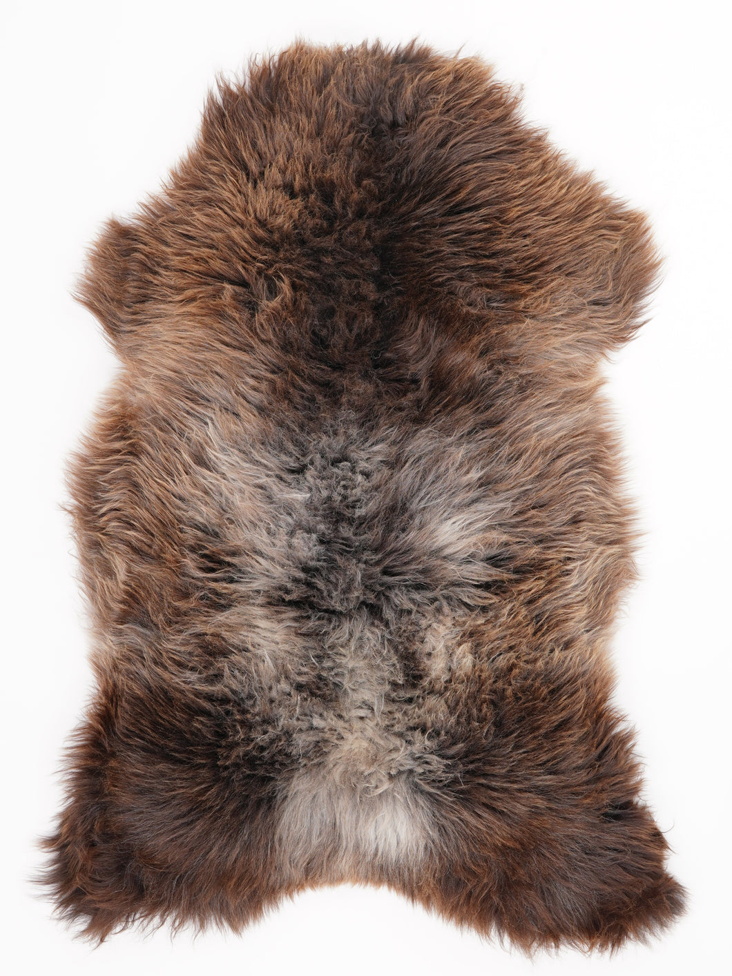 Įvairiaspalvis avikailis L