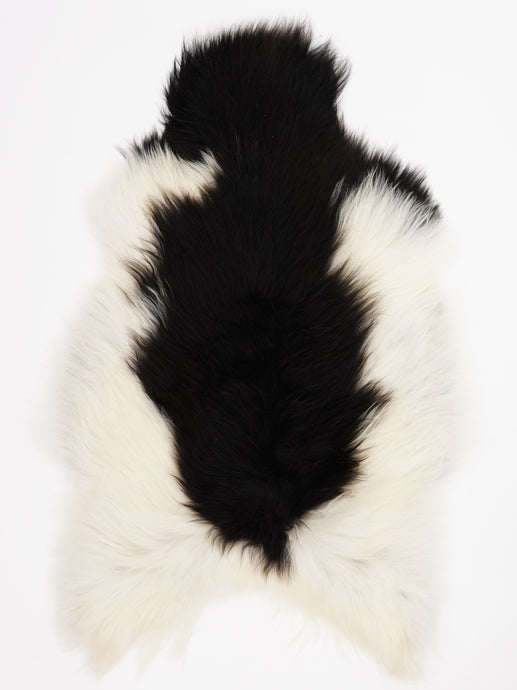 Islandiškas avikailis XXL