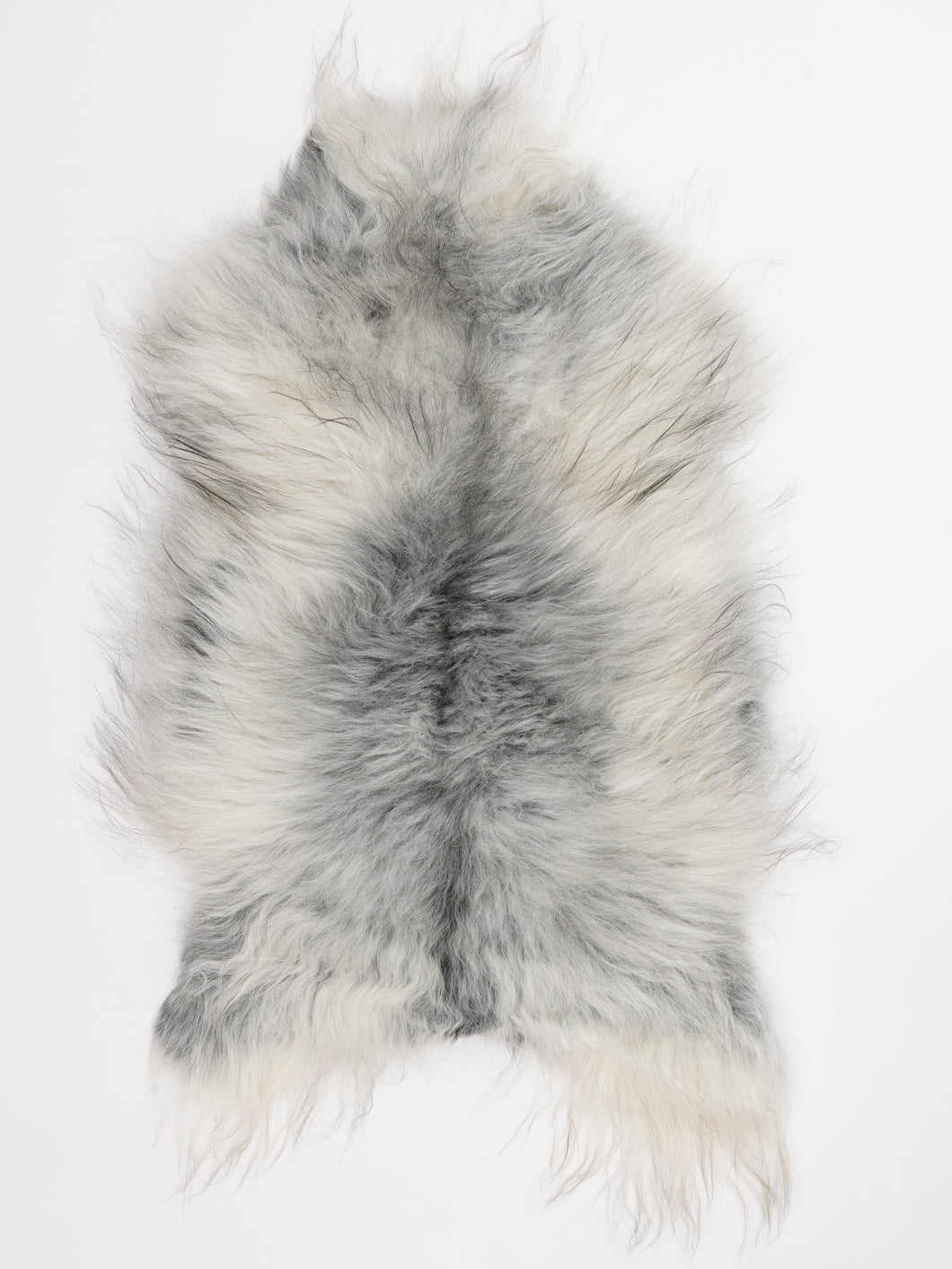 Islandiškas avikailis L