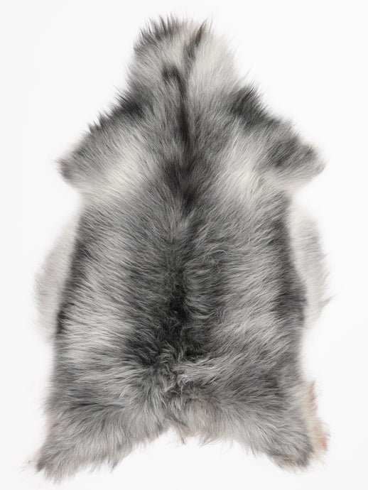 Pilkas islandiškas avikailis XL