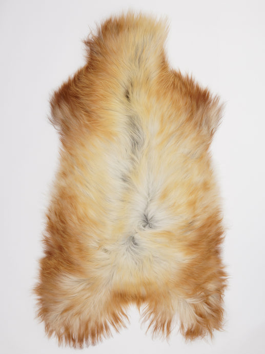 Islandiškas avikailis XL