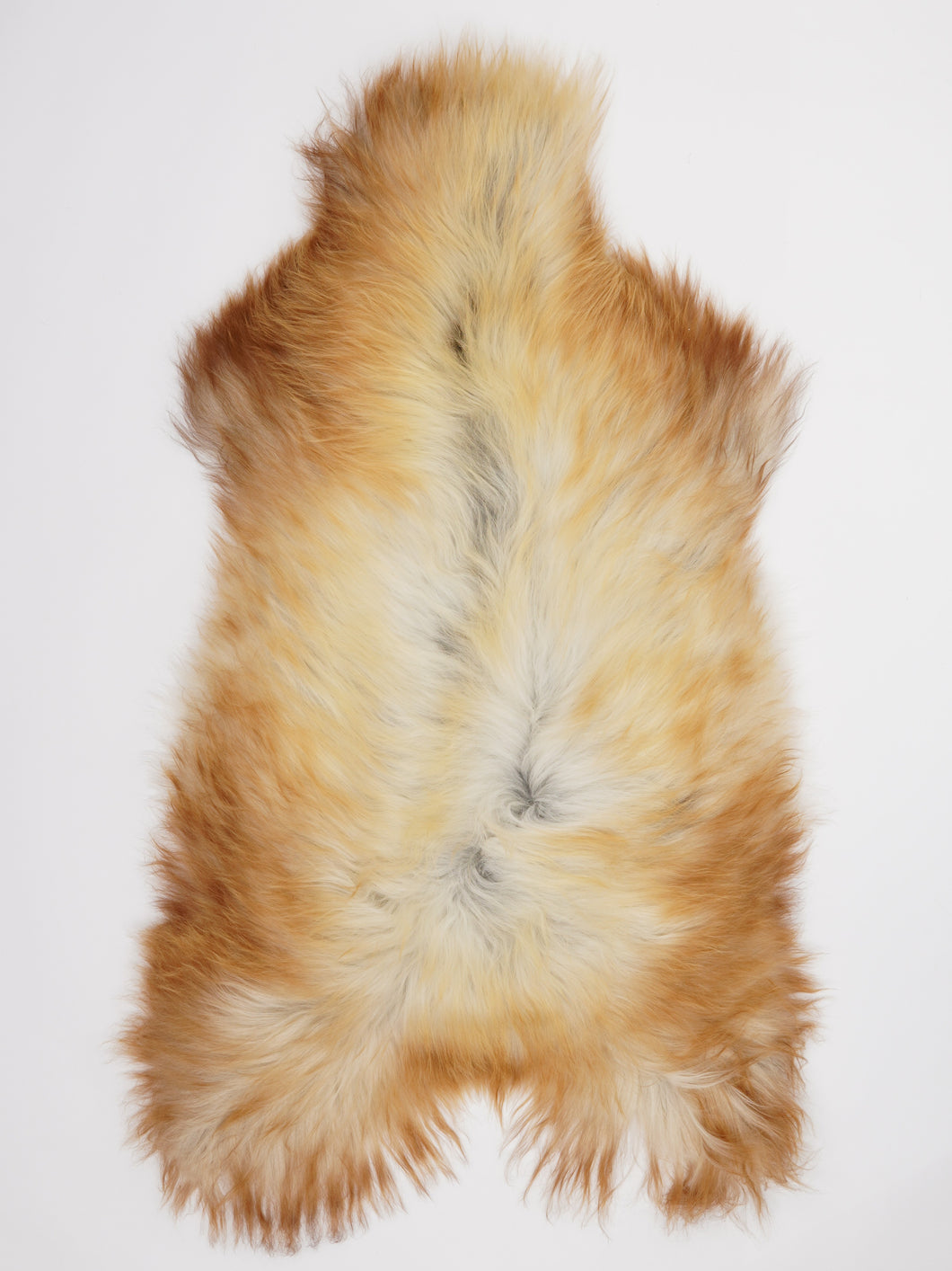 Islandiškas avikailis XL